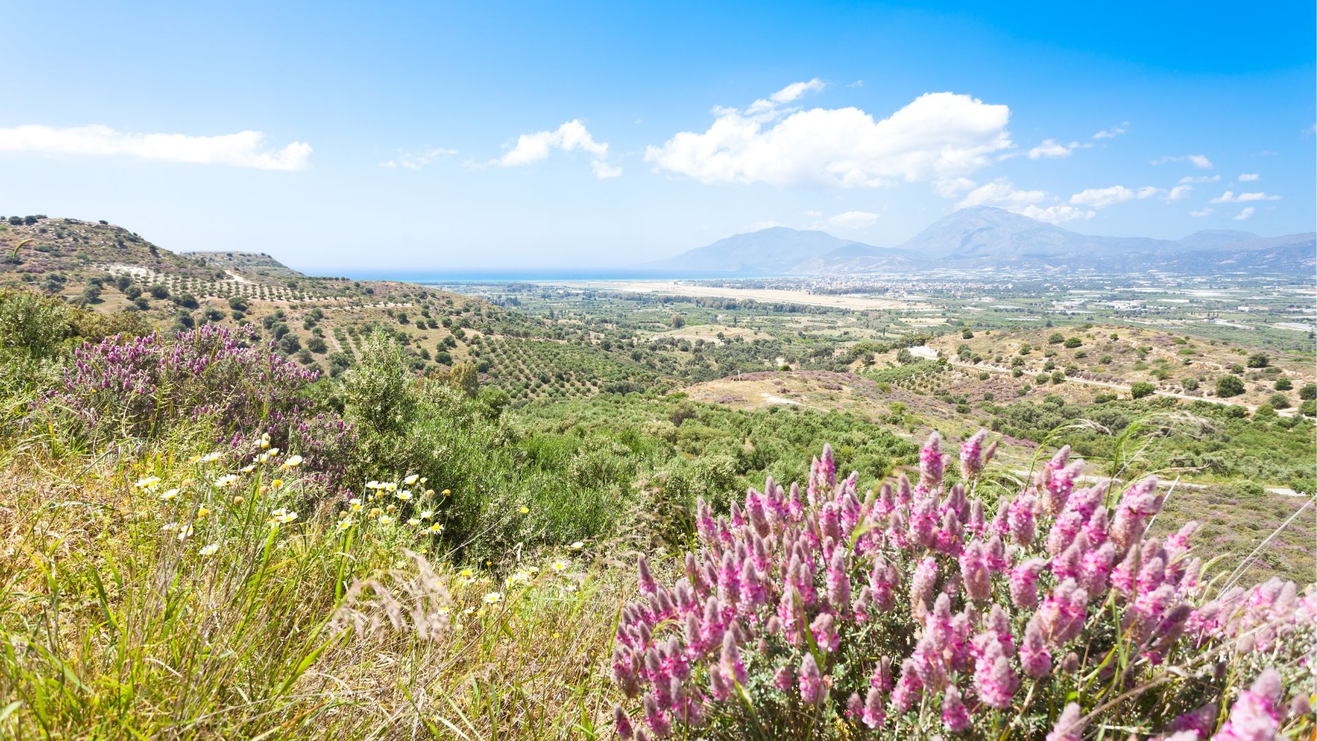 Exploring nature's transformations in Crete